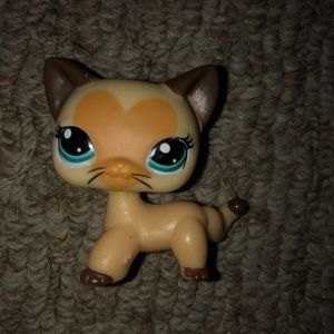 Littlest pet shop cat